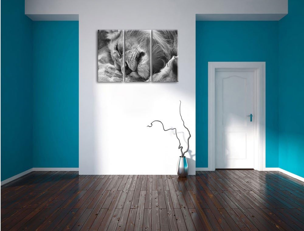 Pixxprint schlafender Löwe Kunst B&W als Leinwandbild/Grösse: 3 Teilig (120x80 cm) cm/Wandbild/Kunst