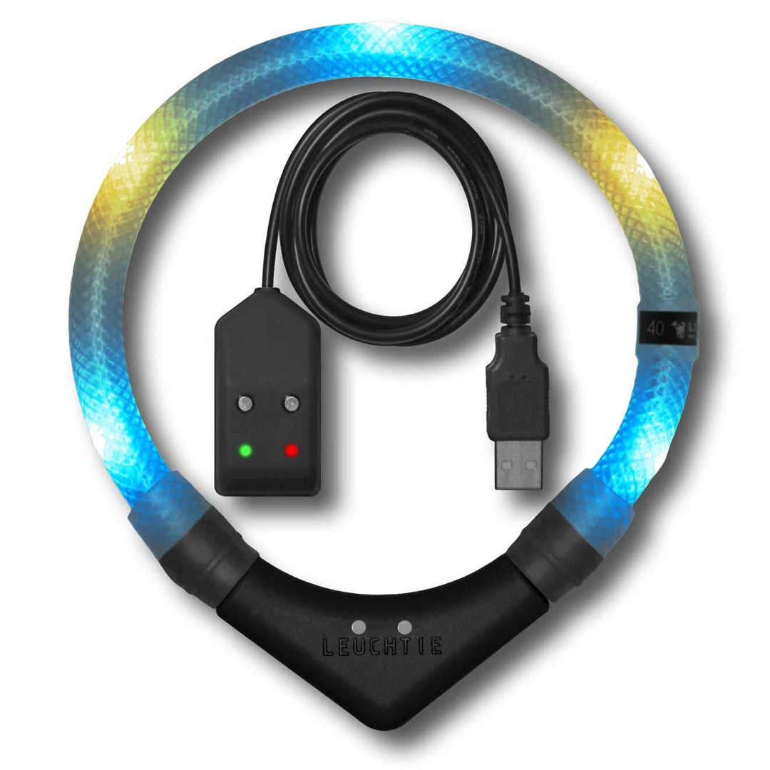 LEUCHTIE® Leuchthalsband Easy Charge eisblau-vanille Grösse 37,5 I LED Halsband für Hunde I USB aufl
