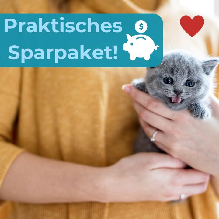 2er Set Transportbox Kleintier Meerschweinchen Hamster Vogel Mäuse Nagetier Tiertransportbox Trage B