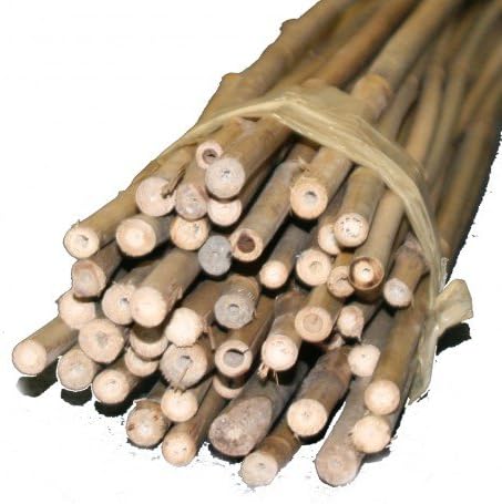 Bambus-Stäbe 90cm, Ø 9-12mm (50), 50