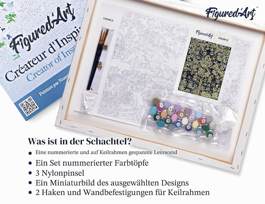 Figured'Art Malen Nach Zahlen Erwachsene Mit Rahmen Baum des Lebens - Paint by Numbers Basteln DIY B