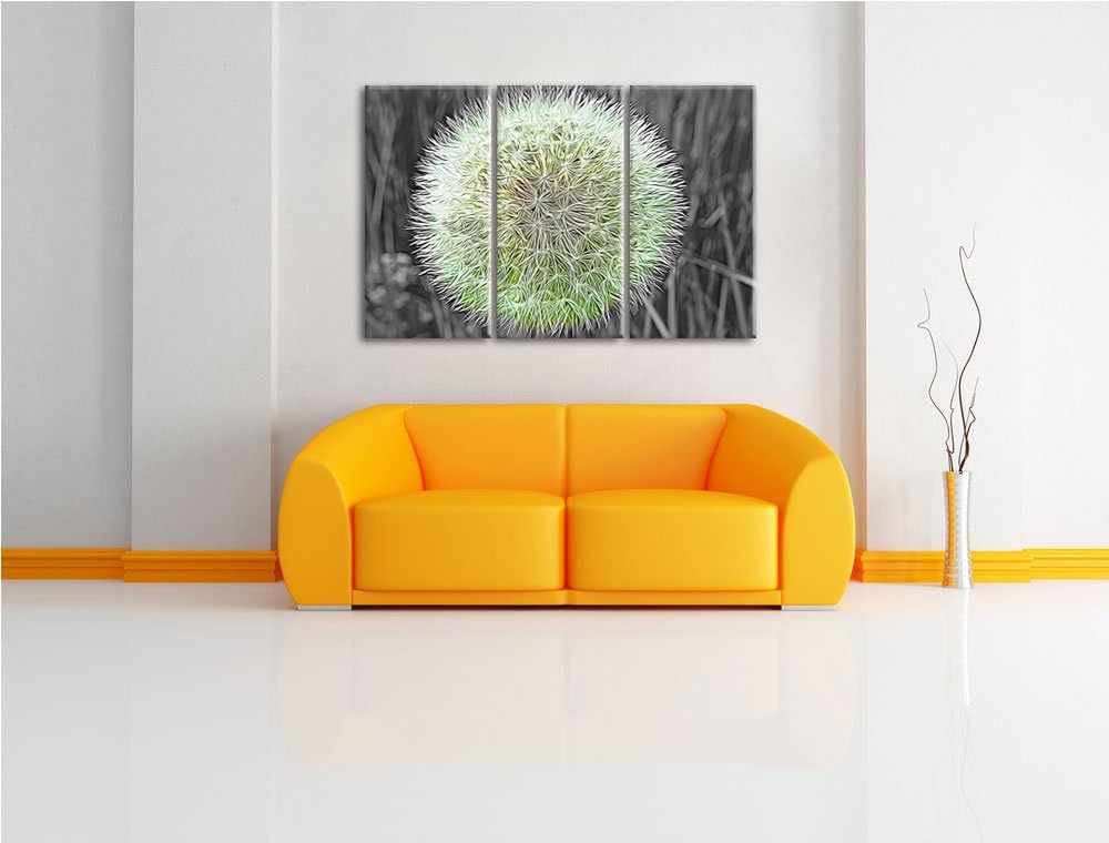 klassische zarte Pusteblume schwarz/weiss Deluxe 3-Teiler Leinwandbild 120x80 Bild auf Leinwand, XXL