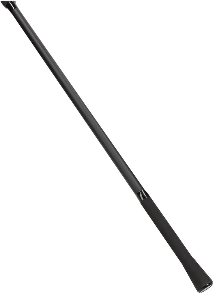 Daiwa D-Carp Karpfenrute Boilierute zum Karpfenangeln (13ft / 3,50lbs / 2-teilig)