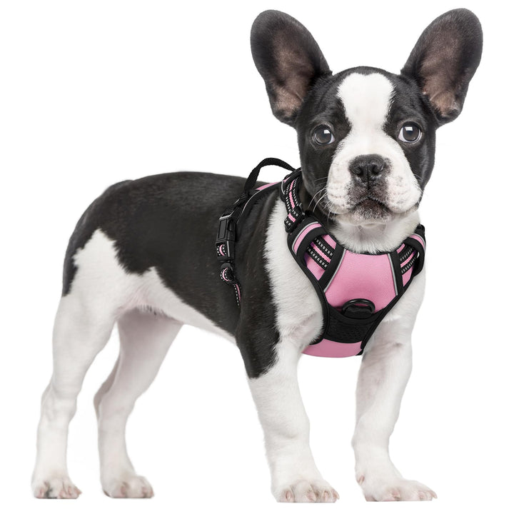 rabbitgoo Hundegeschirr Mittelgrosse Hunde, Anti Zug Geschirr mit Kontrolle, No Pull Verstellbar Hun