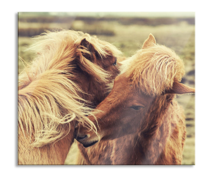 Islandpferde Pony Herdabdeckplatte & Spritzschutz aus Echtglas | Für Herd-Kochfelder | 60x52 cm