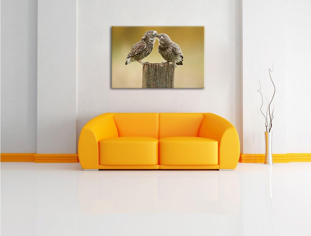 Pixxprint Küssende Eulen, Format: 100x70 auf Leinwand, XXL riesige Bilder fertig gerahmt mit Keilrah