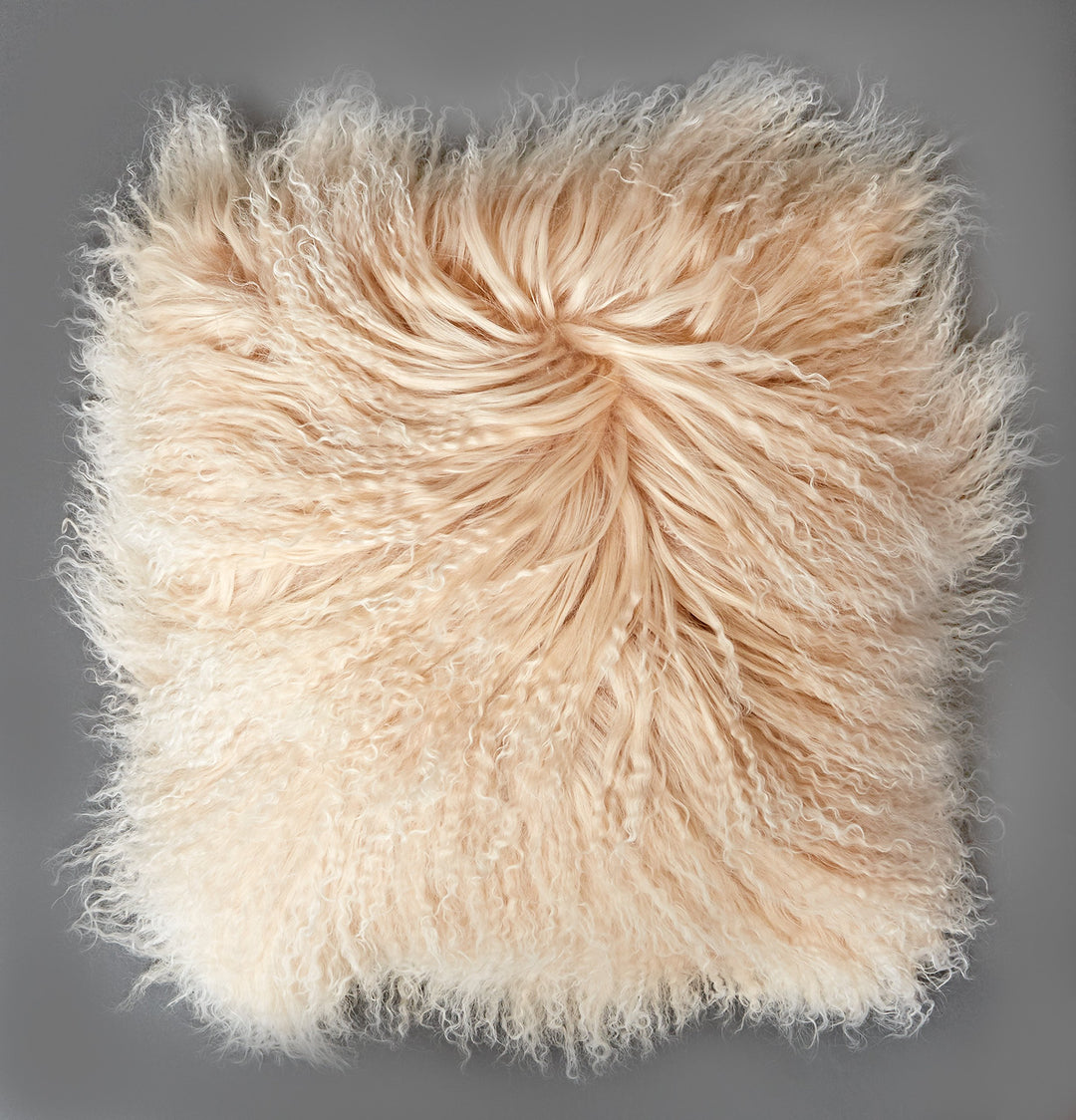 Reissner Lammfelle Tibet Lammfell Kissenbezug langflorig 30x30cm JYB03 Farbe beige/weiss (Tops) Jyb0