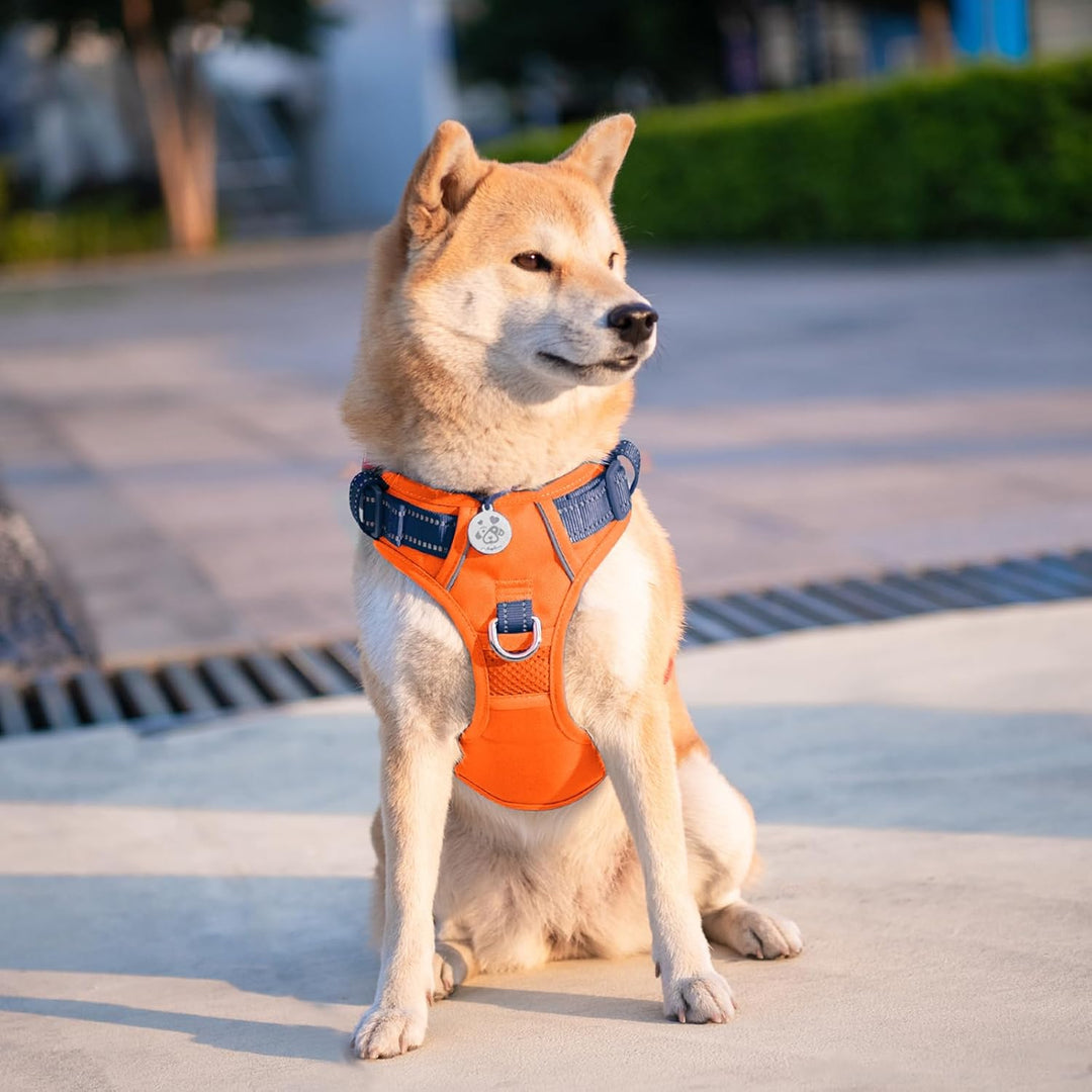 PHOEPET No Pull Hundewestengeschirr, verstellbares, reflektierendes, Nicht erstickendes Haustiergesc