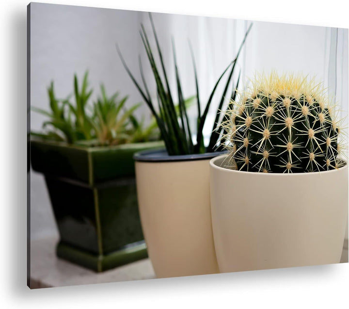 deyoli hausliche Pflanzen Format: 80x60 als Leinwandbild, Motiv fertig gerahmt auf Echtholzrahmen, H