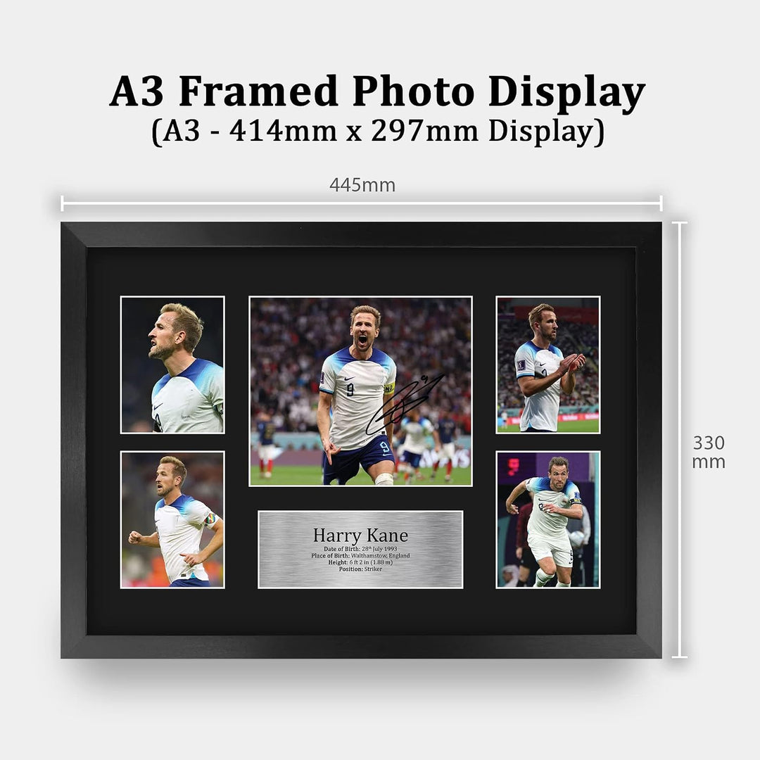 HWC Trading FR A3 Harry Kane England Gedruckte Memorabilien Signiertes Autogramm Fotodisplay für Fus