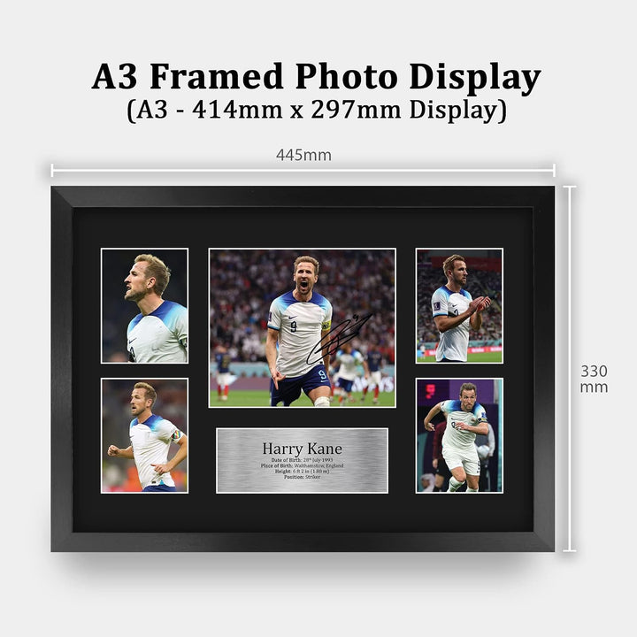 HWC Trading FR A3 Harry Kane England Gedruckte Memorabilien Signiertes Autogramm Fotodisplay für Fus