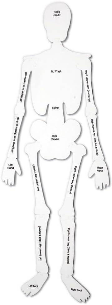 Learning Resources Bodenpuzzle Skelett aus Schaumstoff, Skelett