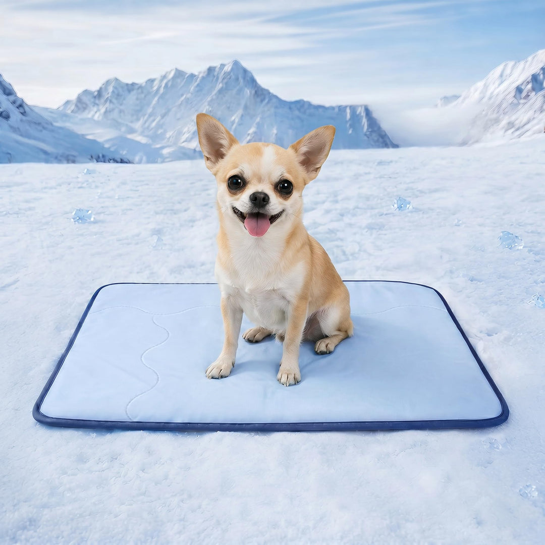 Deconovo Selbstkühlende Kühlmatte für Hunde &amp; Katzen, Atmungsaktive Kühldecke für Sommer, Faltbar &amp;