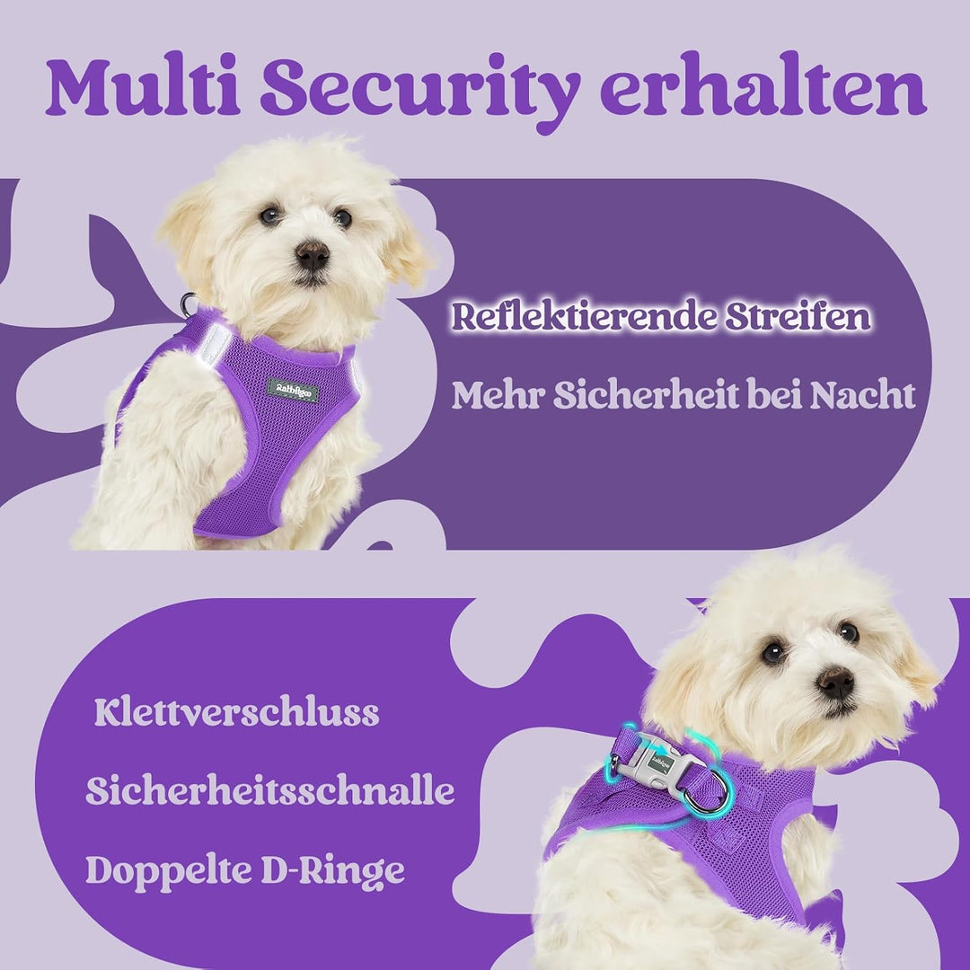 rabbitgoo Hundegeschirr Kleine Hunde, Step-in Welpengeschirr Weich Mesh für Spaziergänge, Atmungsakt