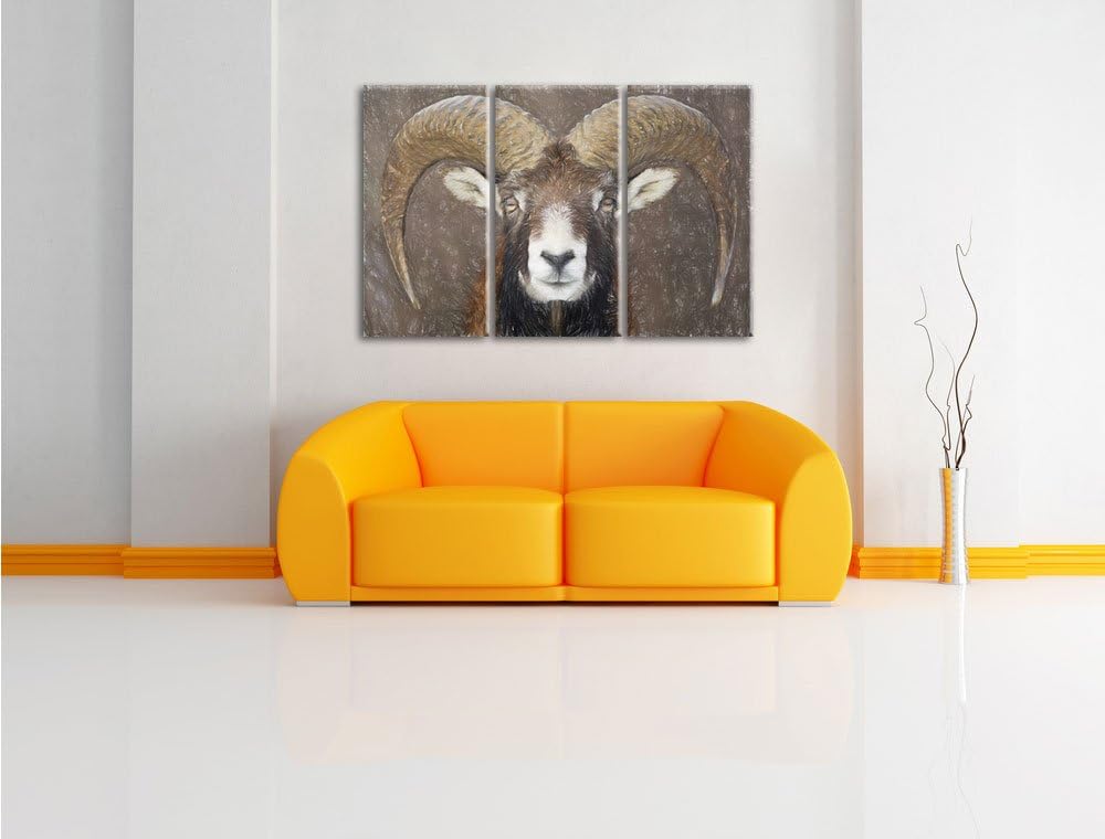 Pixxprint Mufflon Porträt als Leinwandbild/Grösse: 3 Teilig (120x80) cm/Wandbild/Kunstdruck/fertig b