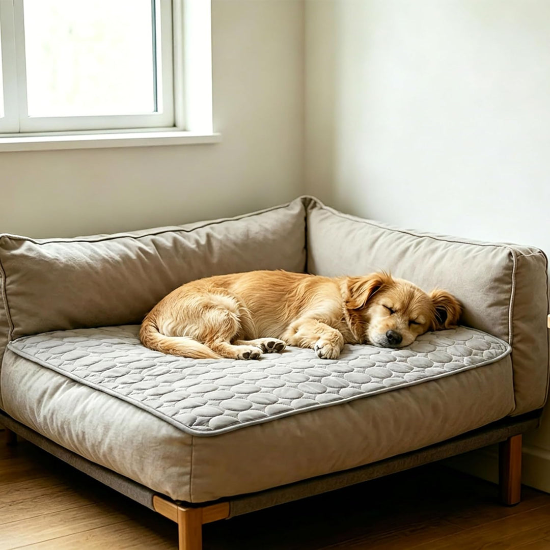 Generisch kühlmatte Hund, Hundekühlmatte, 150x100cm Bett Kühldecke | Atmungsaktiv, Kratzfest, Waschb