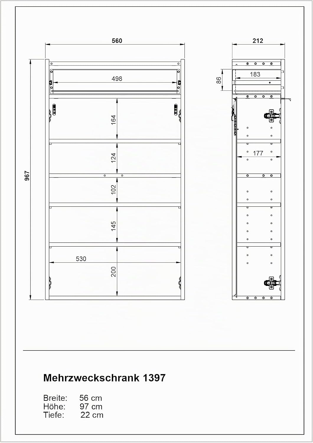 Germania Hängender Schuhschrank 1397-549 GW-Ameca, in Graphit/Eiche, geringe Tiefe, optimal für schm