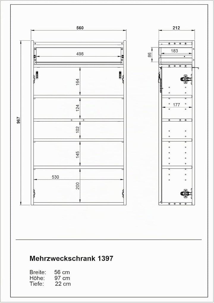 Germania Hängender Schuhschrank 1397-549 GW-Ameca, in Graphit/Eiche, geringe Tiefe, optimal für schm