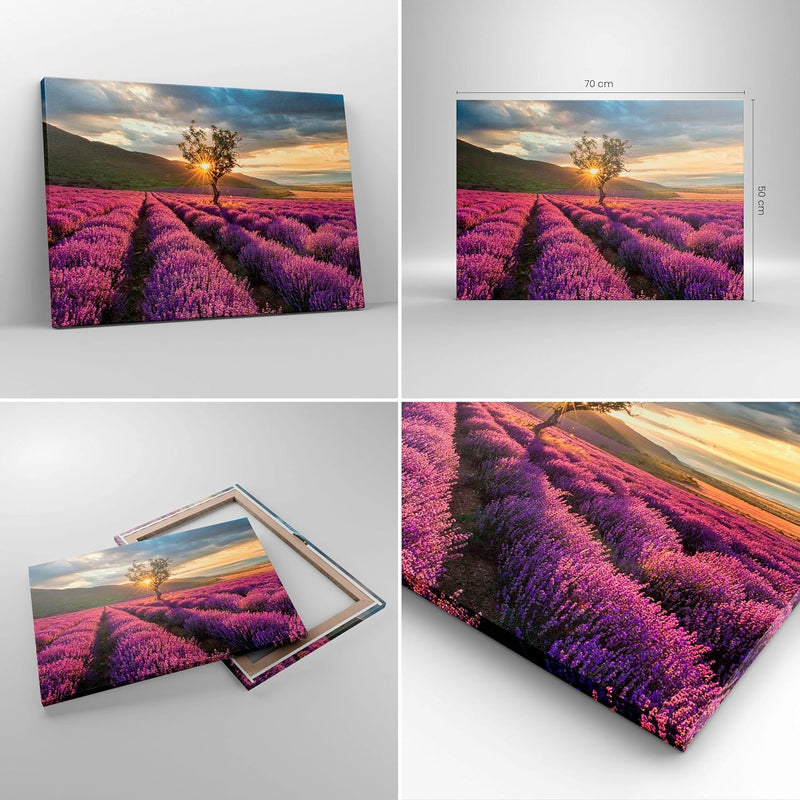 Bilder auf Leinwand Lavendel Berge Feld Leinwandbild mit Rahmen 70x50cm Wandbilder Dekoration Wohnzi