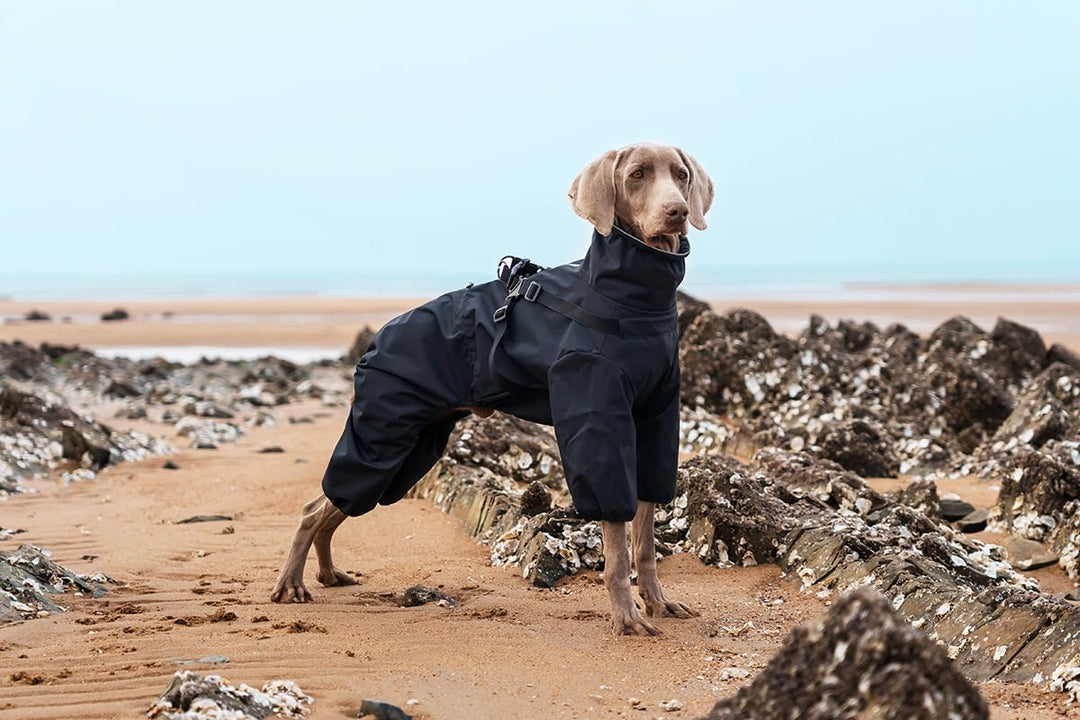 Hundegeschirr, Regenmantel, verstellbar, 4 Beine, Hundejacke mit Geschirr, reflektierender Overall,