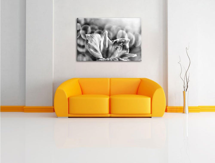 Pixxprint Sanfte Weisse Lilie / 100x70cm Leinwandbild bespannt auf Holzrahmen/Wandbild Kunstdruck De