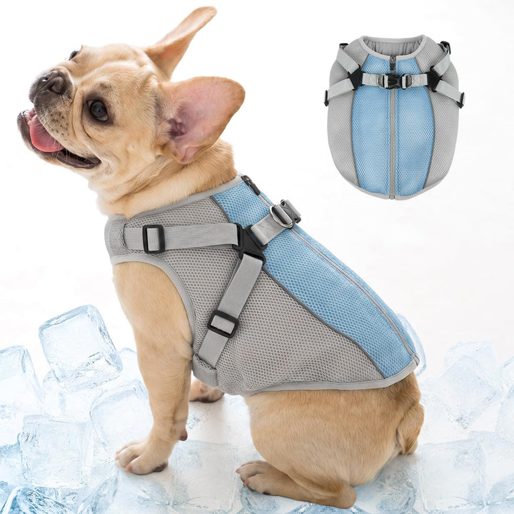 Kühlweste Hund mit Geschirr, Hundekühlweste für kleine Hunde, Atmungsaktive Kühljacke mit Verdunstun
