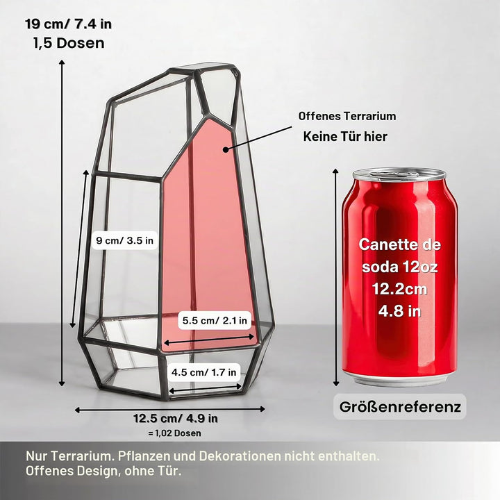 NCYP 10x12,5x19cm Handgefertigtes unregelmässiges Prisma-Glas geometrische Terrarienbox, für Tischpl