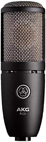 AKG P220