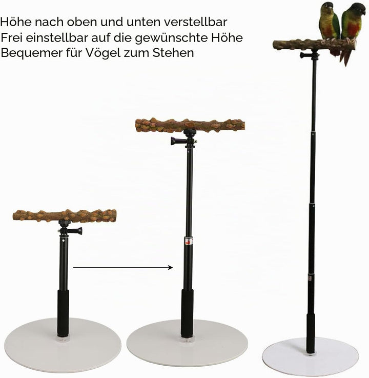 Papageien-Spielständer, Verstellbare Vogelstange, Tragbarer, Abnehmbarer Papageien-Spielständer für