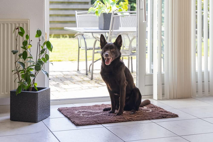DGS Dirty Dog Doormat L: 90 cm B: 66 cm braun 90 X 66 CM Braun, 90 X 66 CM Braun