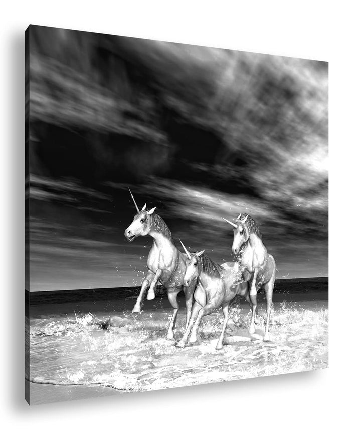 galoppierende Einhörner am Strand Format: 70x70 Effekt: Schwarz&Weiss als Leinwandbild, Motiv fertig