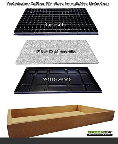 GREEN24 Gewächshaus Style-Box Beige GK5331H für Bewässerungswanne + Topfplatte - Birke Massivholz ge
