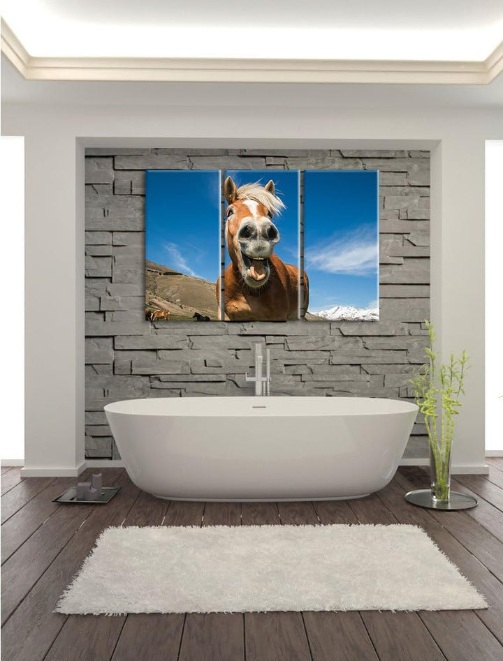 Pixxprint Lustiges Pferd in der Natur als Leinwandbild - Grösse: 3-Teilig (120x80cm) - Wandbild - Ku