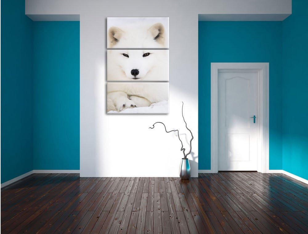 Pixxprint Weisser Fuchs als Leinwandbild/Grösse: 3 Teilig (120x80) cm/Wandbild/Kunstdruck/fertig bes