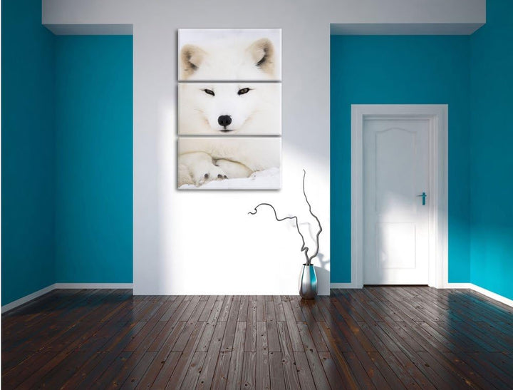 Pixxprint Weisser Fuchs als Leinwandbild/Grösse: 3 Teilig (120x80) cm/Wandbild/Kunstdruck/fertig bes