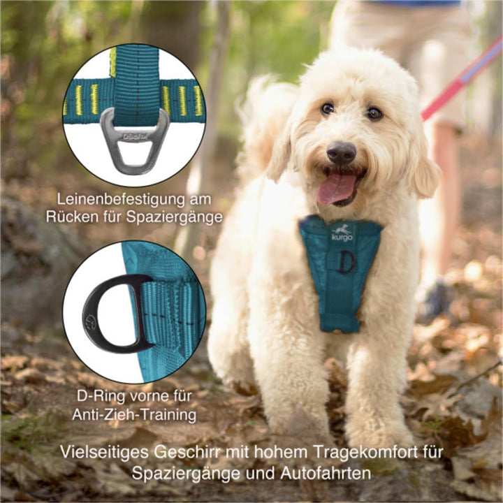 Kurgo Tru-Fit Hundegeschirr, Crash-Test-erprobtes Auto-Sicherheitsgurt, Für Hunde von 2 bis 5 kg, Gr