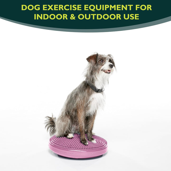 Fitpaws Balance-Disc für Hunde, 14", Violett