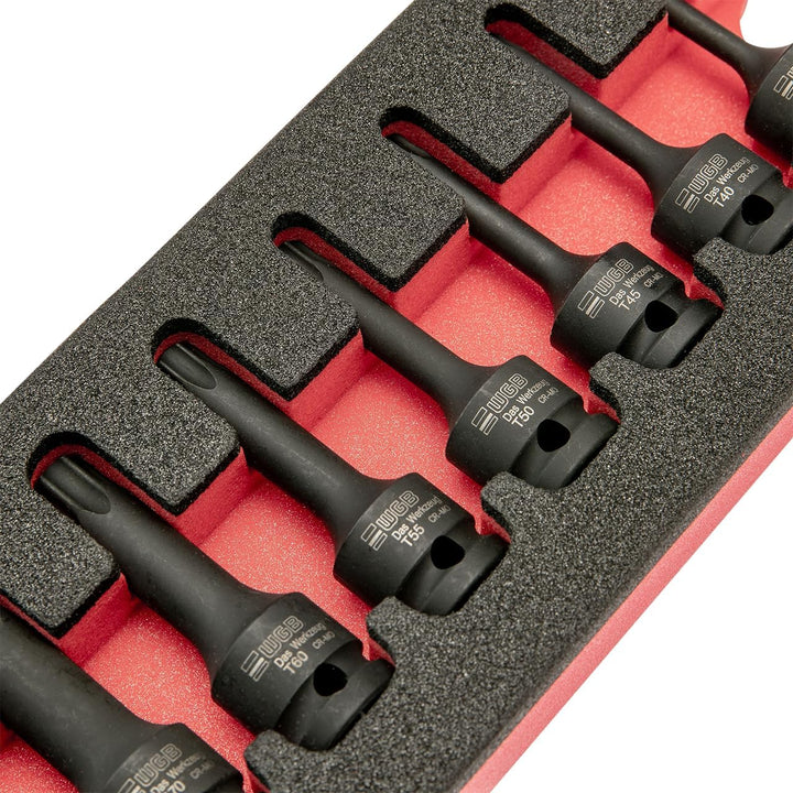 1/2" Torx Nuss Set in Werkzeug Einlage 8 teilig TX30 bis TX80 | Torx Bit und Stecknuss Set mit Loch