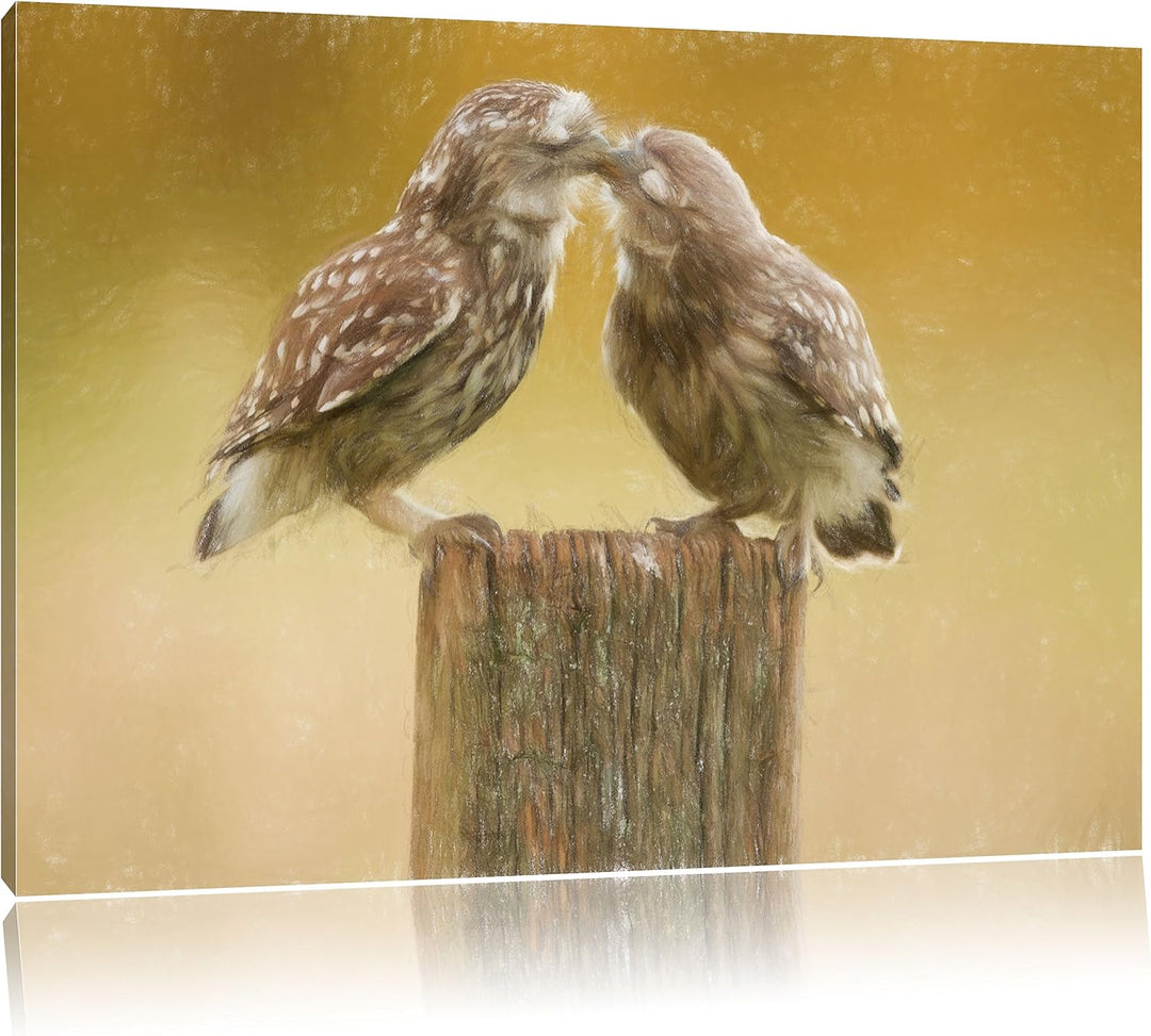 Pixxprint Küssende Eulen / 100x70cm Leinwandbild bespannt auf Holzrahmen/Wandbild Kunstdruck Dekorat