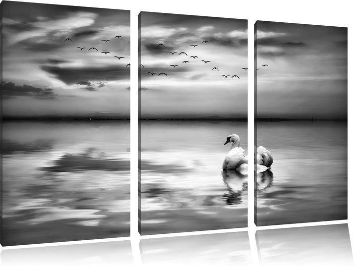 Pixxprint Schwan bei Sonnenuntergang als Leinwandbild/Grösse: 3 Teilig (120x80) cm/Wandbild/Kunstdru