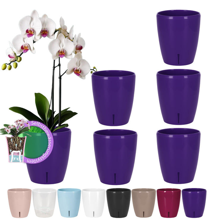 Santino 6er-Set Orchideentopf D 15cm. Selbstbewässernder Topf mit Dochtsystem und Wasserstandsanzeig