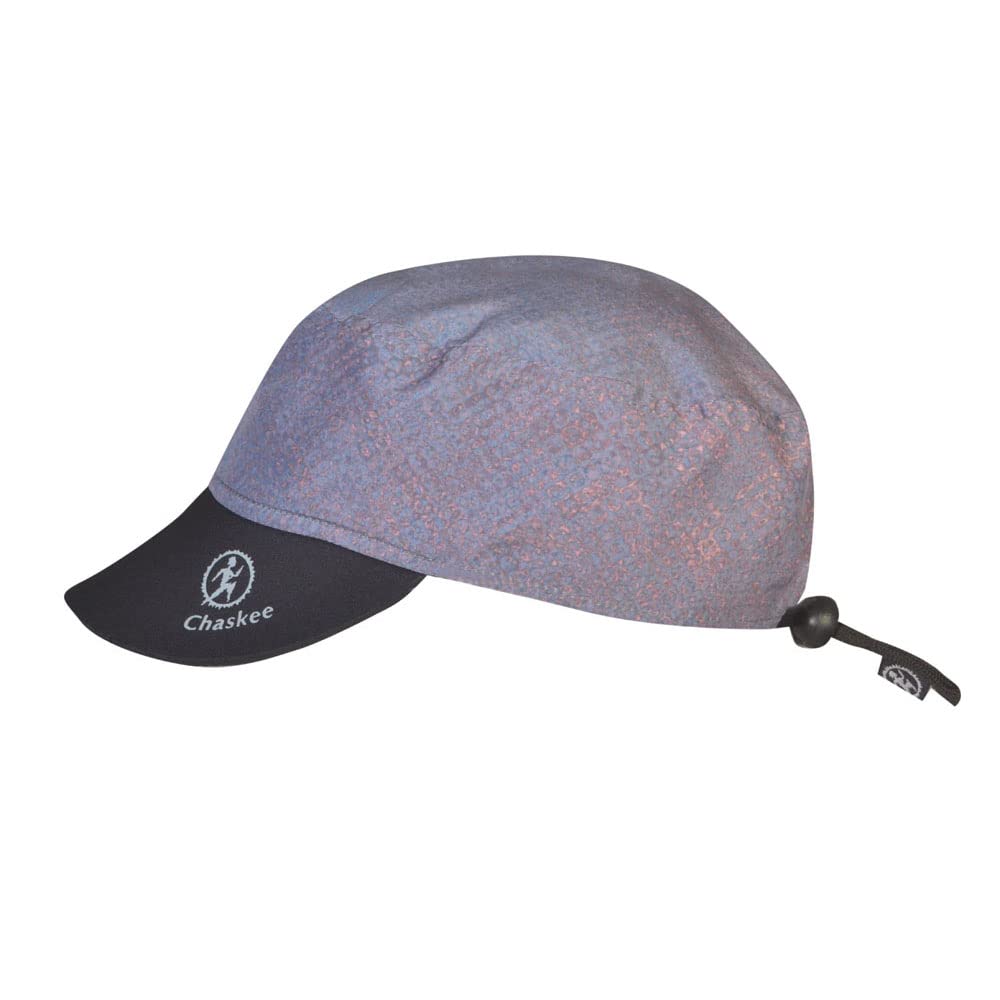 Chaskee Reversible Cap Basecap Grau, Grau