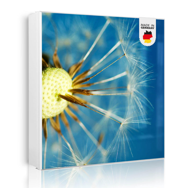 banjado Grosser Schlüsselkasten Metall - Schlüsselbox 30x30cm mit 32 Haken - Schlüsselkasten modern