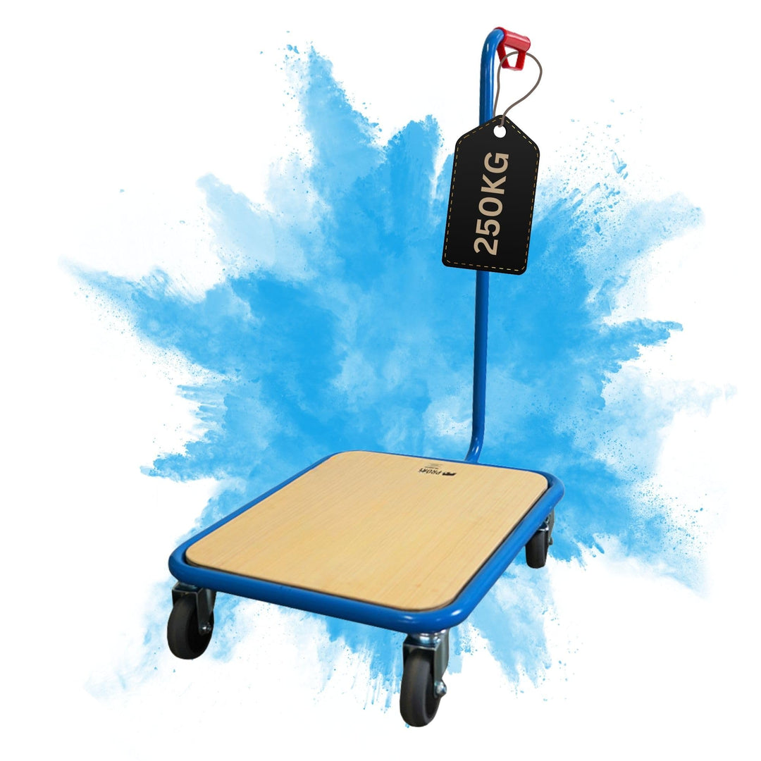 PROREGAL Profi Griffroller | HxBxT 96x50x60 cm | Traglast 250kg | 2X Lenkrollen mit Feststellbremse