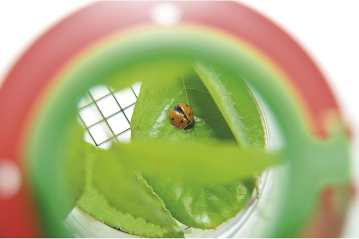 EDUPLAY 150006 Lupendose Ø 6 cm, H 7 cm, mit Plastikspinne, transparent (10er Pack)
