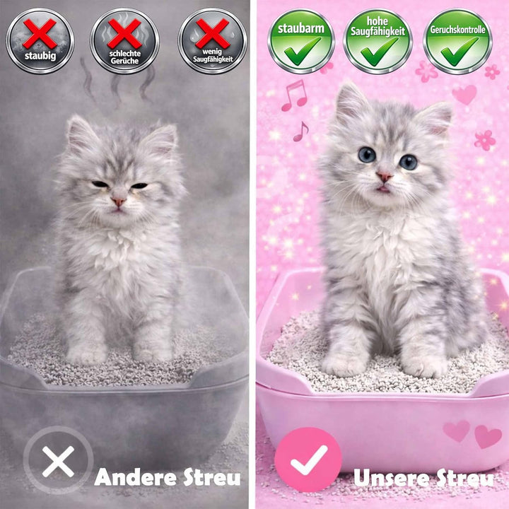 CANCAT 2x15 kg Excellent kanadische Premium Katzenstreu Klumpstreu Babypuderduft