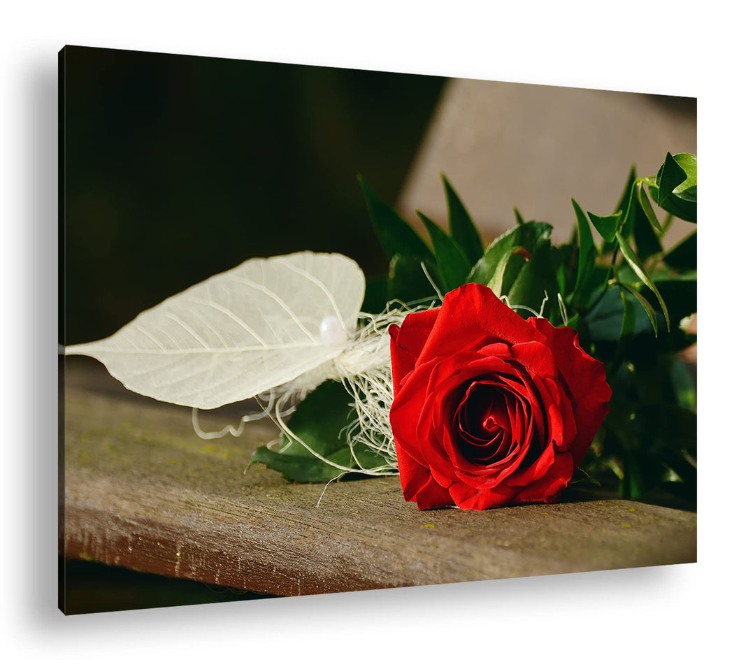 deyoli Romantische Rote Rose Format: 60x40 als Leinwandbild, Motiv fertig gerahmt auf Echtholzrahmen