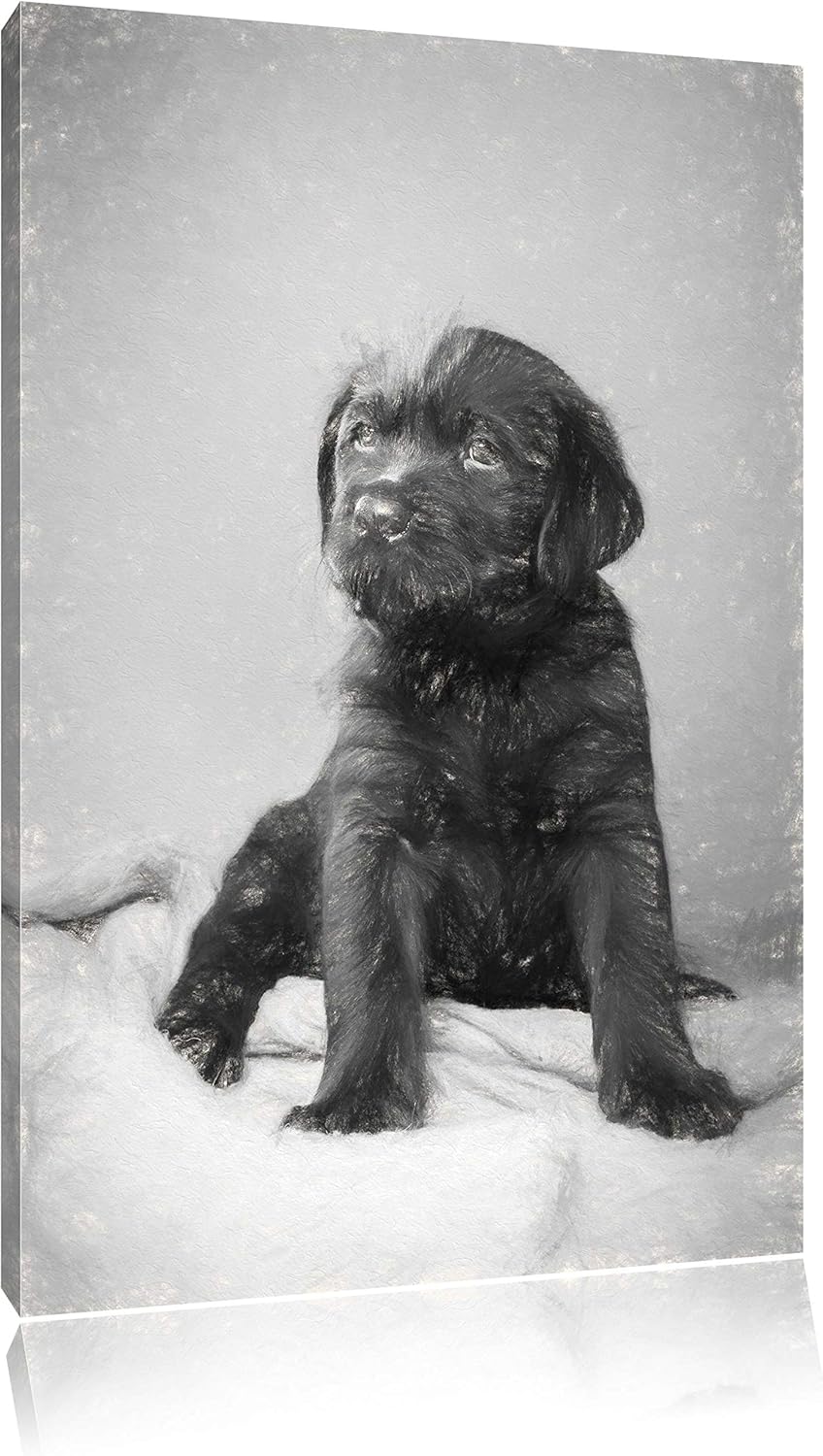 Pixxprint Hundewelpe auf Pullovern als Leinwandbild/Grösse: 100x70 cm/Wandbild/Kunstdruck/fertig bes