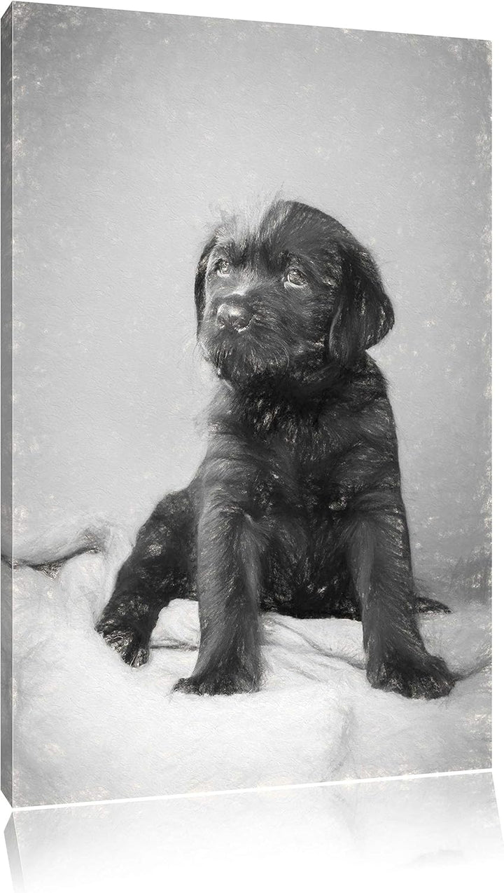 Pixxprint Hundewelpe auf Pullovern als Leinwandbild/Grösse: 100x70 cm/Wandbild/Kunstdruck/fertig bes