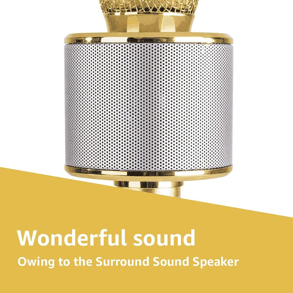 MAX KM01 Bluetooth Karaoke Mikrofon mit Lautsprecher, USB, Micro SD, MP3-Player, Mikro mit Echo, Sti